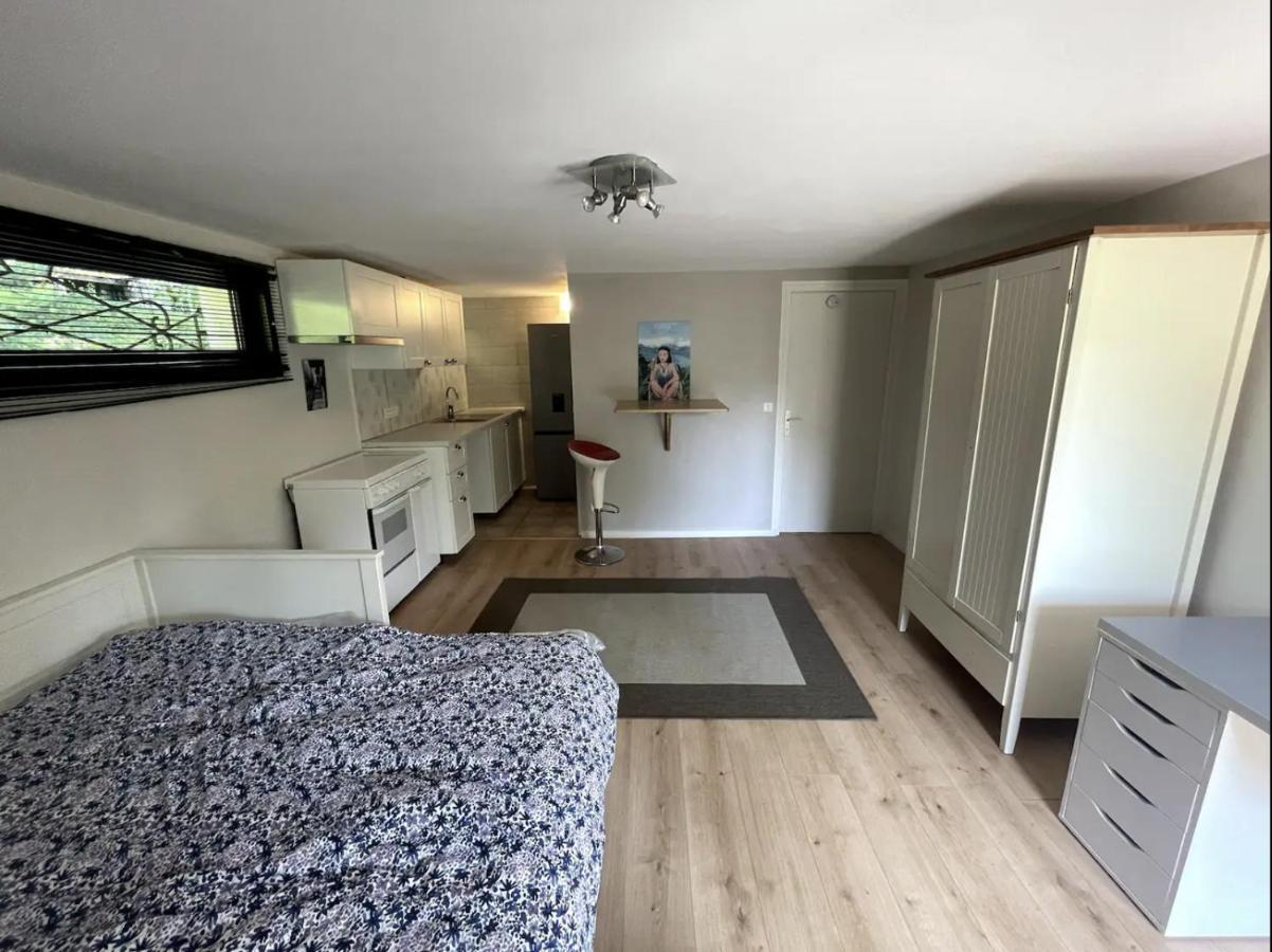 Quiet Studio In A House In Sevrier Annecy Lake Very Close To The Lake Экстерьер фото