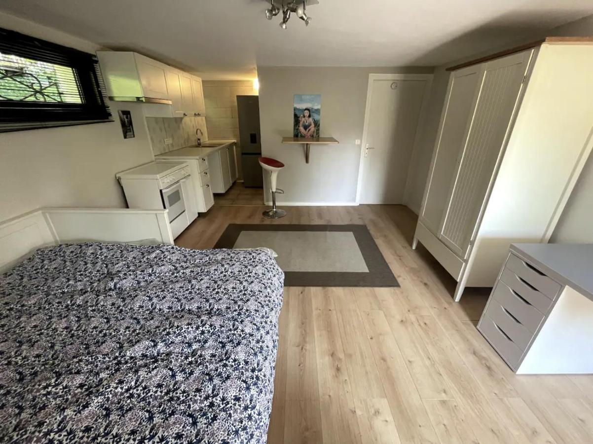 Quiet Studio In A House In Sevrier Annecy Lake Very Close To The Lake Экстерьер фото